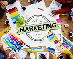 Four Marketing Trends That Will Take Your Company to the Top in 2020